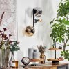 Gastor Lampada a sfera, Applique Ambrato, Chiaro, Grigio fumo, 3-Luci