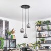 Ripoll Lampadario a sospensione, Lampada a sfera, Lampada a sospensione a cluster Cromo, Grigio fumo, 3-Luci