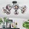 Ripoll Plafoniera, Lampada a sfera Cromo, Chiaro, Grigio fumo, 7-Luci