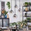 Ripoll Lampadario a sospensione, Lampada a sfera, Lampada a sospensione a cluster Chiaro, Grigio fumo, 4-Luci