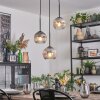 Ripoll Lampadario a sospensione, Lampada a sfera, Lampada a sospensione a cluster Chiaro, Grigio fumo, 3-Luci