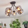 Ripoll Plafoniera, Lampada a sfera Chiaro, Grigio fumo, 5-Luci