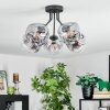 Ripoll Plafoniera, Lampada a sfera Chiaro, Grigio fumo, 5-Luci