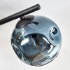 Ripoll Plafoniera, Lampada a sfera Blu, Oro, Verde, 4-Luci