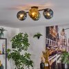 Ripoll Plafoniera, Lampada a sfera Blu, Oro, Verde, 4-Luci