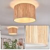 Bongal Plafoniera beige, Écru, 1-Luce