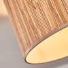 Bongal Plafoniera beige, Écru, 1-Luce