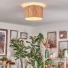 Bongal Plafoniera beige, Écru, 1-Luce