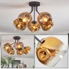 Ripoll Plafoniera, Lampada a sfera Oro, Chiaro, 5-Luci