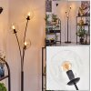 Ripoll Lampada a sfera, Lampada da terra Chiaro, 3-Luci