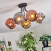 Ripoll Plafoniera, Lampada a sfera Cromo, Oro, Ramato, Grigio fumo, 5-Luci
