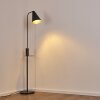 Terwispel Lampada da terra Antracite, Grigio, Nero, 1-Luce