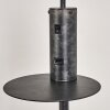 Terwispel Lampada da terra Antracite, Grigio, Nero, 1-Luce