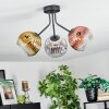 Koyoto Plafoniera, Lampada a sfera 42 cm Cromo, Oro, Chiaro, Ramato, Grigio fumo, 3-Luci