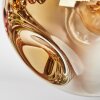 Ripoll Plafoniera, Lampada a sfera Cromo, Oro, Chiaro, Ramato, Grigio fumo, 7-Luci