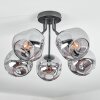 Ripoll Plafoniera, Lampada a sfera Grigio fumo, 5-Luci