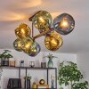 Ripoll Plafoniera, Lampada a sfera Blu, Oro, Verde, 8-Luci