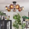 Koyoto Plafoniera, Lampada a sfera 82 cm Cromo, Oro, Chiaro, Ramato, Grigio fumo, 7-Luci