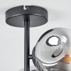 Ripoll Plafoniera, Lampada a sfera Chiaro, Grigio fumo, 4-Luci