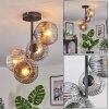 Ripoll Plafoniera, Lampada a sfera Chiaro, Grigio fumo, 4-Luci