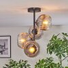 Ripoll Plafoniera, Lampada a sfera Chiaro, Grigio fumo, 4-Luci