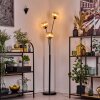 Koyoto Lampada a sfera, Lampada da terra Ambrato, 3-Luci