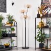 Koyoto Lampada a sfera, Lampada da terra Ambrato, 3-Luci