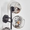 Ripoll Lampada a sfera, Applique Cromo, Chiaro, Grigio fumo, 3-Luci