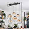 Gastor Lampadario a sospensione, Lampada a sfera, Lampada a sospensione Ambrato, Chiaro, 6-Luci