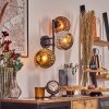 Ripoll Lampada a sfera, Applique Cromo, Oro, Ramato, Grigio fumo, 3-Luci