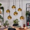 Gastor Lampadario a sospensione, Lampada a sfera, Lampada a sospensione Oro, Chiaro, 6-Luci
