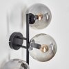 Gastor Lampada a sfera, Applique Grigio fumo, 3-Luci