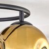Ripoll Plafoniera, Lampada a sfera Blu, Oro, Verde, 3-Luci