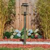 Tieva Illuminazione viale Oro, Nero, 1-Luce