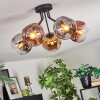 Ripoll Plafoniera, Lampada a sfera Cromo, Oro, Chiaro, Ramato, Grigio fumo, 5-Luci