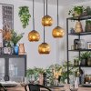 Ripoll Lampadario a sospensione, Lampada a sfera, Lampada a sospensione a cluster Oro, 4-Luci