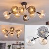 Koyoto Plafoniera, Lampada a sfera Ambrato, Chiaro, Grigio fumo, 8-Luci
