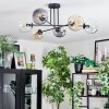 Koyoto Plafoniera, Lampada a sfera 78 cm Ambrato, Chiaro, Grigio fumo, 6-Luci