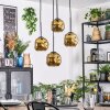 Ripoll Lampadario a sospensione, Lampada a sfera, Lampada a sospensione a cluster Oro, 4-Luci