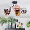 Ripoll Plafoniera, Lampada a sfera Cromo, Oro, Ramato, Grigio fumo, 5-Luci