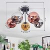 Ripoll Plafoniera, Lampada a sfera Cromo, Oro, Ramato, Grigio fumo, 5-Luci