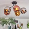 Ripoll Plafoniera, Lampada a sfera Cromo, Oro, Ramato, Grigio fumo, 5-Luci
