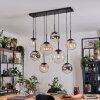 Gastor Lampadario a sospensione, Lampada a sfera, Lampada a sospensione Ambrato, Cromo, Chiaro, Grigio fumo, 8-Luci