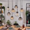 Gastor Lampadario a sospensione, Lampada a sfera, Lampada a sospensione Ambrato, Chiaro, Grigio fumo, 8-Luci