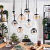 Gastor Lampadario a sospensione, Lampada a sfera, Lampada a sospensione Ambrato, Chiaro, Grigio fumo, 8-Luci
