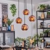 Ripoll Lampadario a sospensione, Lampada a sfera, Lampada a sospensione a cluster Ramato, 4-Luci