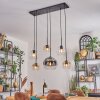 Koyoto Lampadario a sospensione, Lampada a sfera, Lampada a sospensione Ambrato, Chiaro, Grigio fumo, 6-Luci