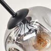 Ripoll Plafoniera, Lampada a sfera Ambrato, Chiaro, Grigio fumo, 10-Luci