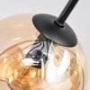 Koyoto Plafoniera, Lampada a sfera 81 cm Ambrato, Cromo, Chiaro, Grigio fumo, 10-Luci