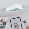 Netstal Plafoniera LED Bianco, 1-Luce